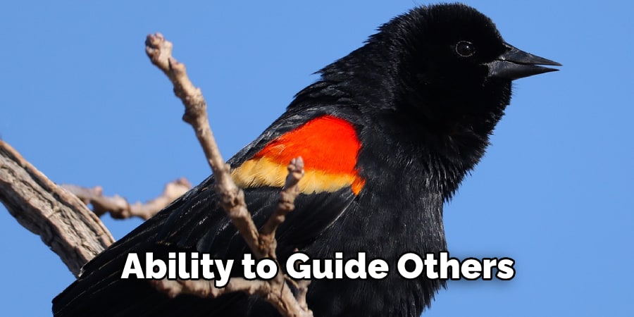  Ability to Guide Others