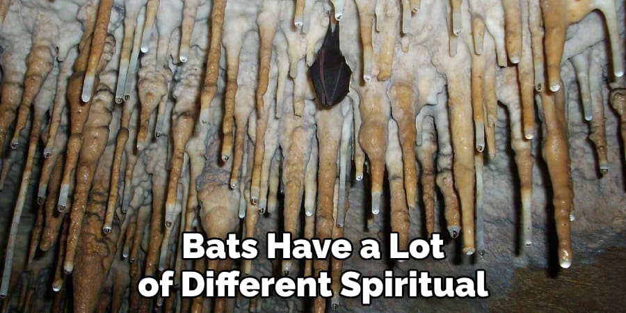 Bats Have a Lot  of Different Spiritual