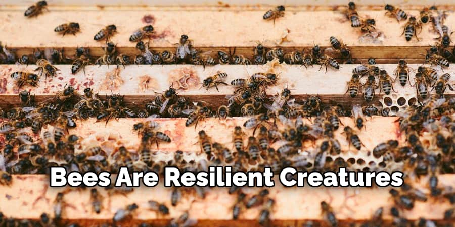 Bees Are Resilient Creatures