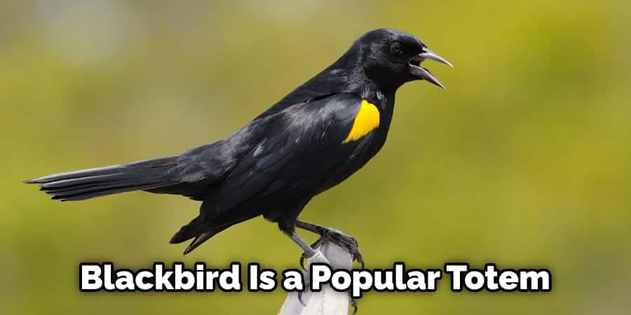 Blackbird Is a Popular Totem