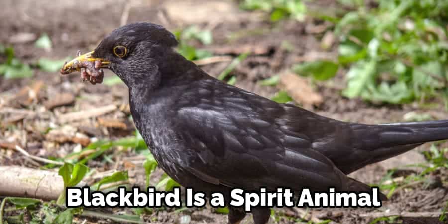 Blackbird Is a Spirit Animal