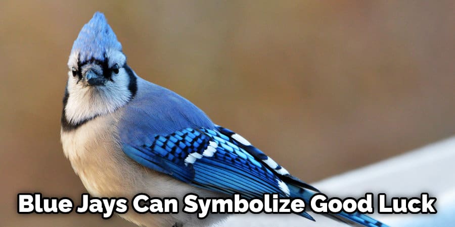Blue Jays Can Symbolize Good Luck
