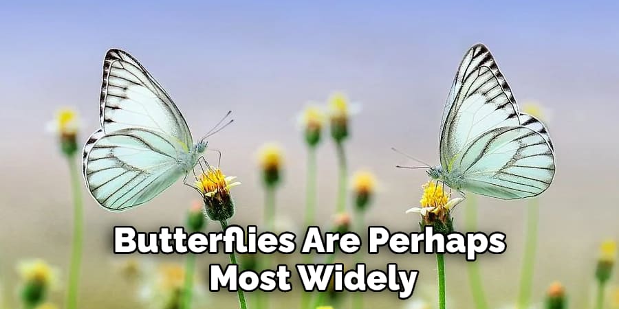Butterflies Are Perhaps Most Widely
