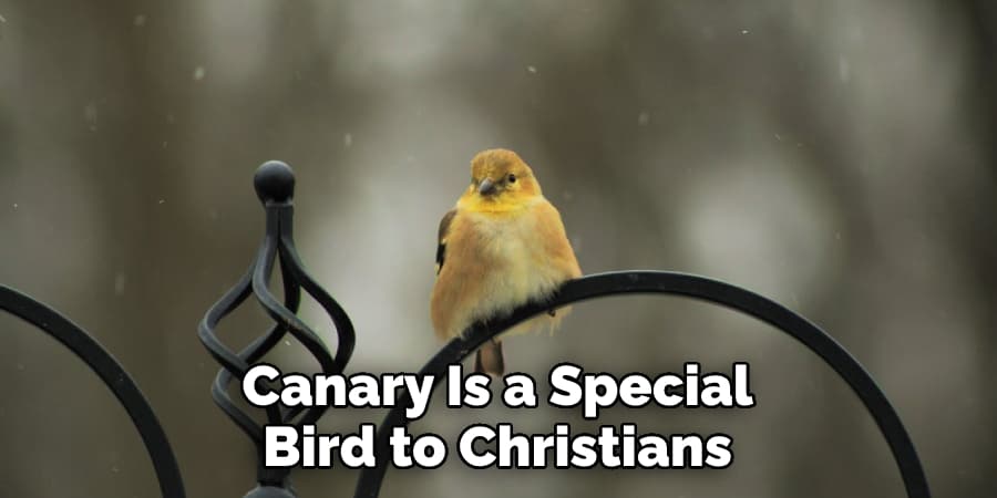 Canary Is a Special Bird to Christians