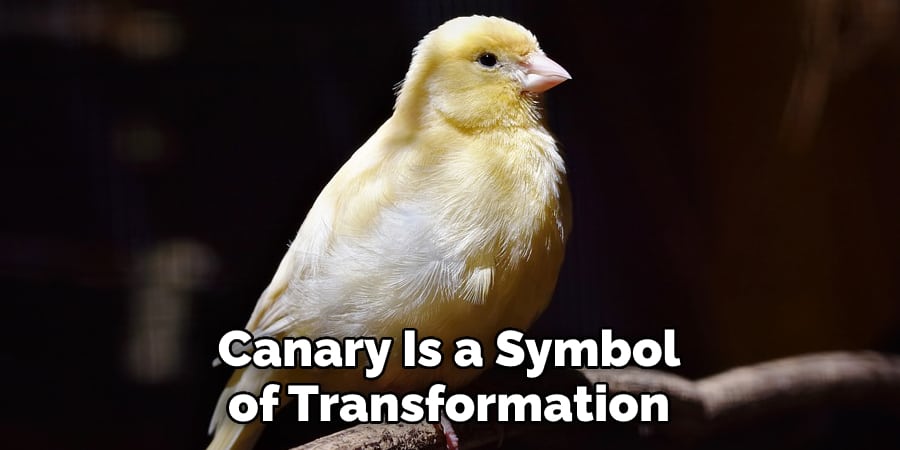 Canary Is a Symbol of Transformation