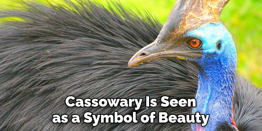 Cassowary Is Seen as a Symbol of Beauty