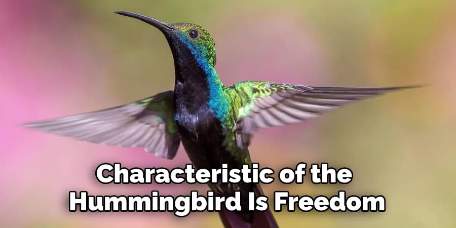 Characteristic of the  Hummingbird Is Freedom