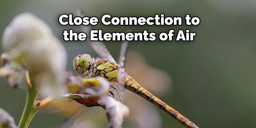  Close Connection to  the Elements of Air