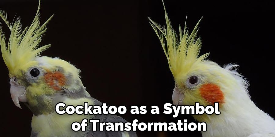 Cockatoo as a Symbol of Transformation