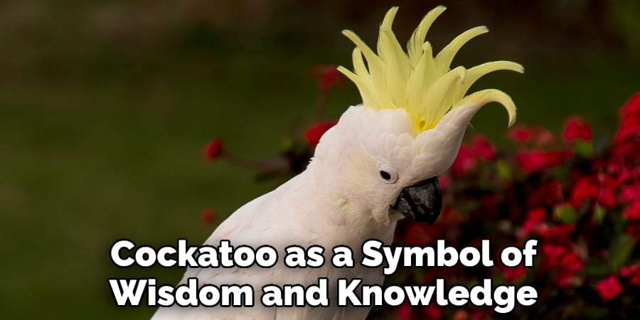 Cockatoo as a Symbol of Wisdom and Knowledge