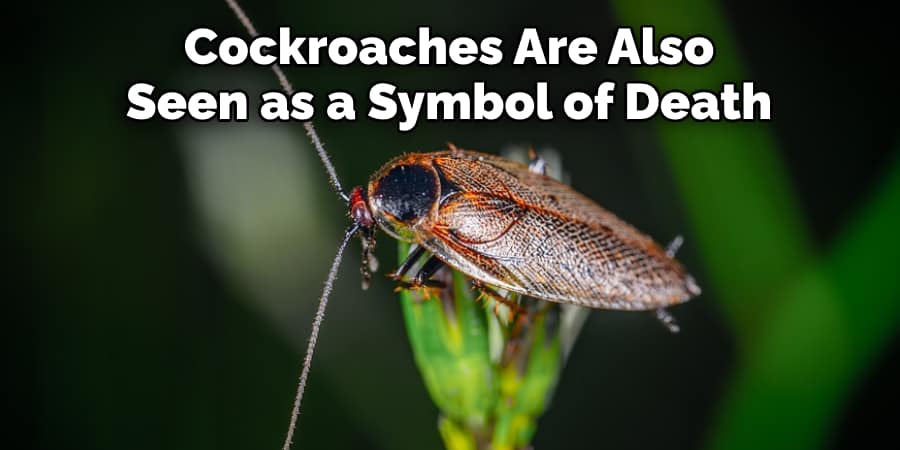 Cockroaches Are Also Seen as a Symbol of Death