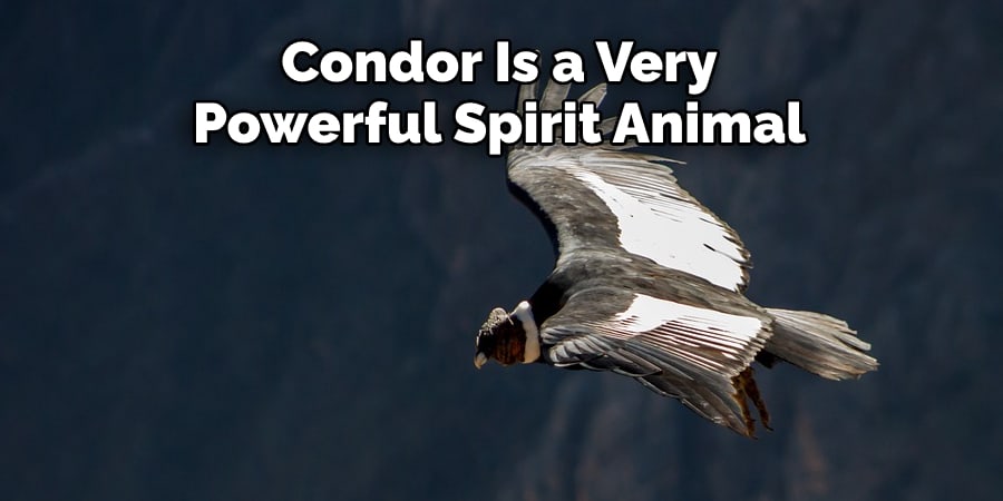 Condor Is a Very Powerful Spirit Animal