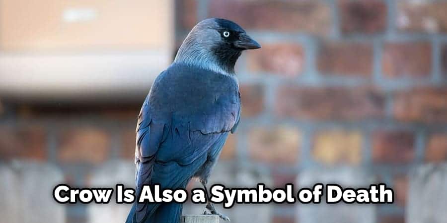 Crow Is Also a Symbol of Death