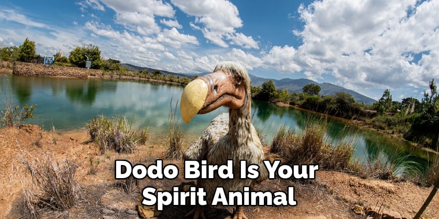 Dodo Bird Is Your Spirit Animal