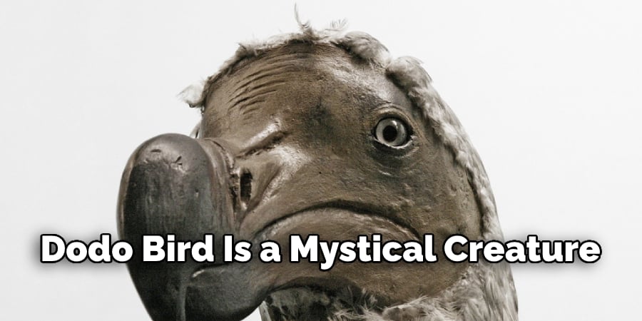Dodo Bird Is a Mystical Creature