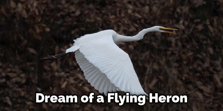 Dream of a Flying Heron