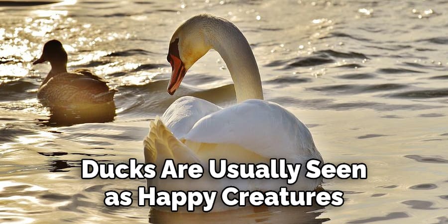 Ducks Are Usually Seen as Happy Creatures