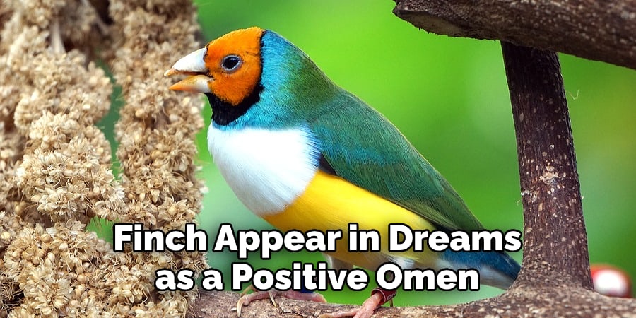 Finch Appear in Dreams as a Positive Omen