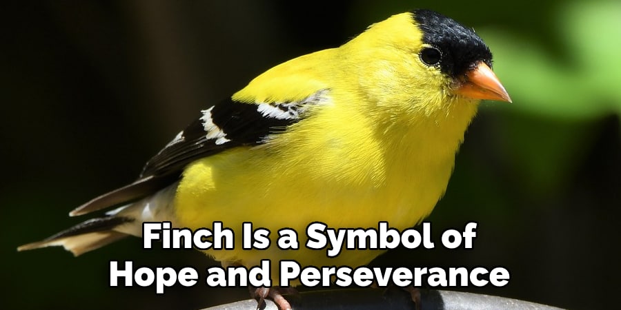 Finch Is a Symbol of Hope and Perseverance