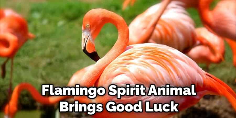 Flamingo Spirit Animal  Brings Good Luck