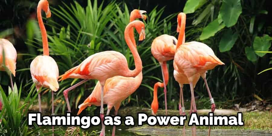 Flamingo as a Power Animal