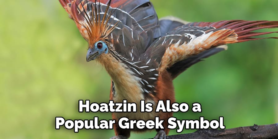 Hoatzin Is Also a Popular Greek Symbol