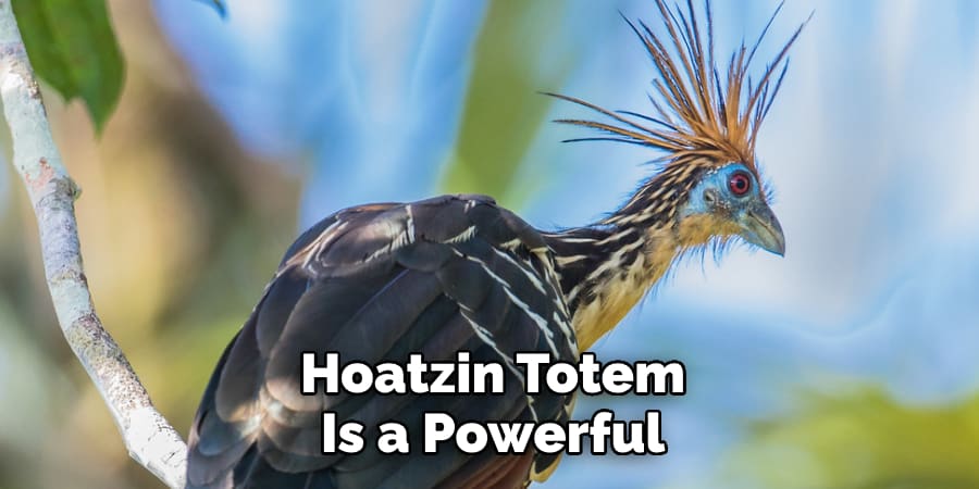 Hoatzin Totem Is a Powerful