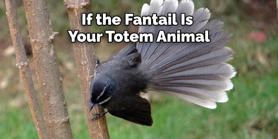 If the Fantail Is Your Totem Animal