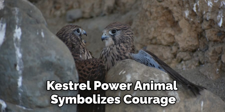 Kestrel Power Animal Symbolizes Courage