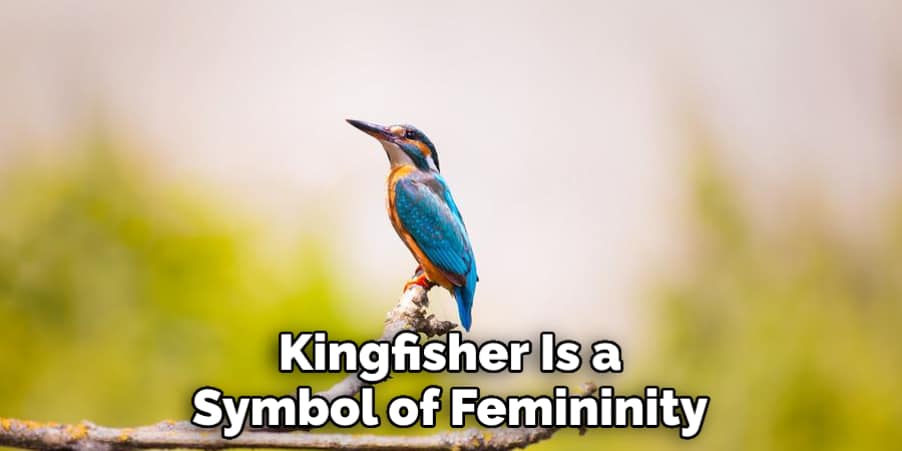 Kingfisher Is Also a Symbol of Femininity.