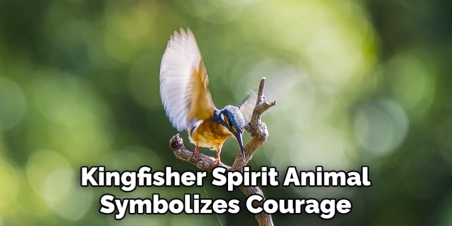 Kingfisher Spirit Animal Symbolizes Courage