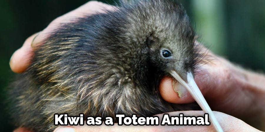 Kiwi as a Totem Animal