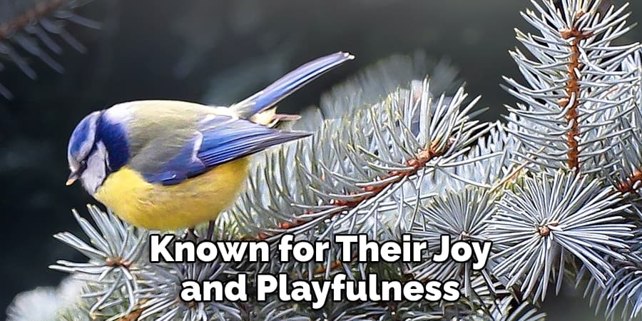 Known for Their Joy and Playfulness