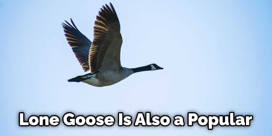 Lone Goose Is Also a Popular
