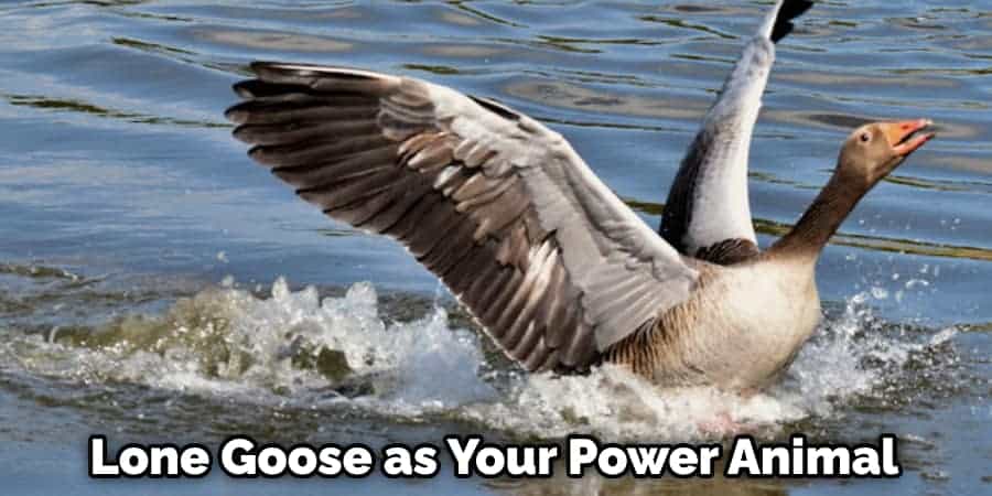 Lone Goose as Your Power Animal