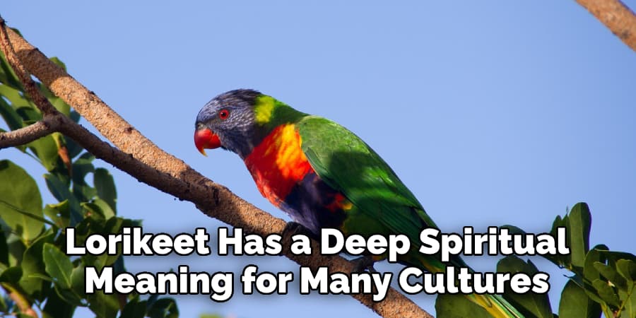  Lorikeet Has a Deep Spiritual Meaning for Many Cultures