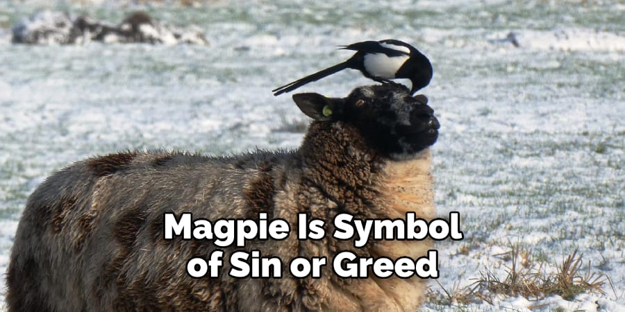 Magpie Is Symbol of Sin or Greed