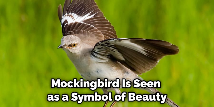 Mockingbird Is Seen  as a Symbol of Beauty