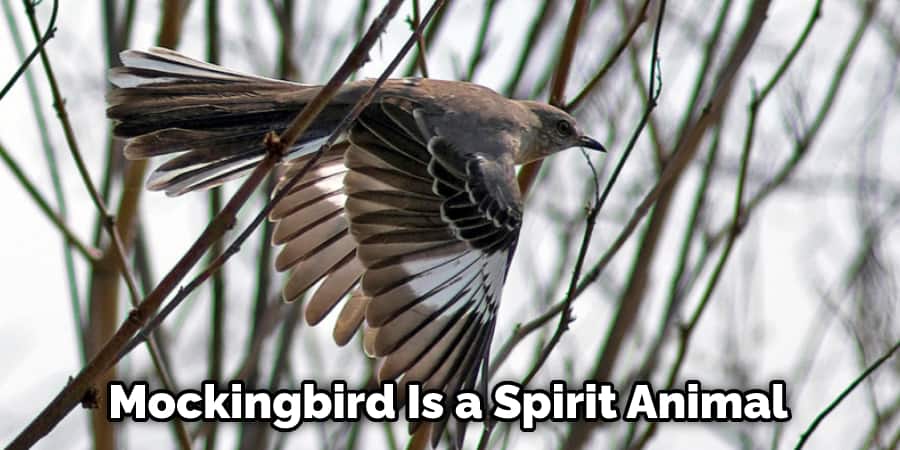Mockingbird Is a Spirit Animal