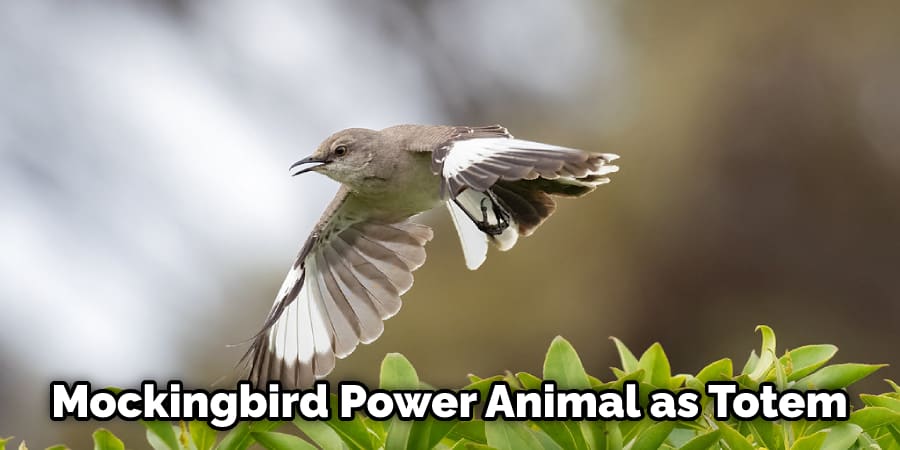 Mockingbird Power Animal as Totem