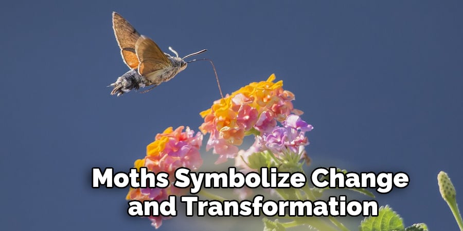 Moths Symbolize Change and Transformation