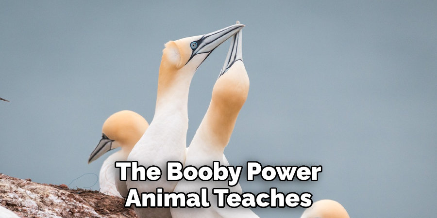 The Booby Power Animal Teaches