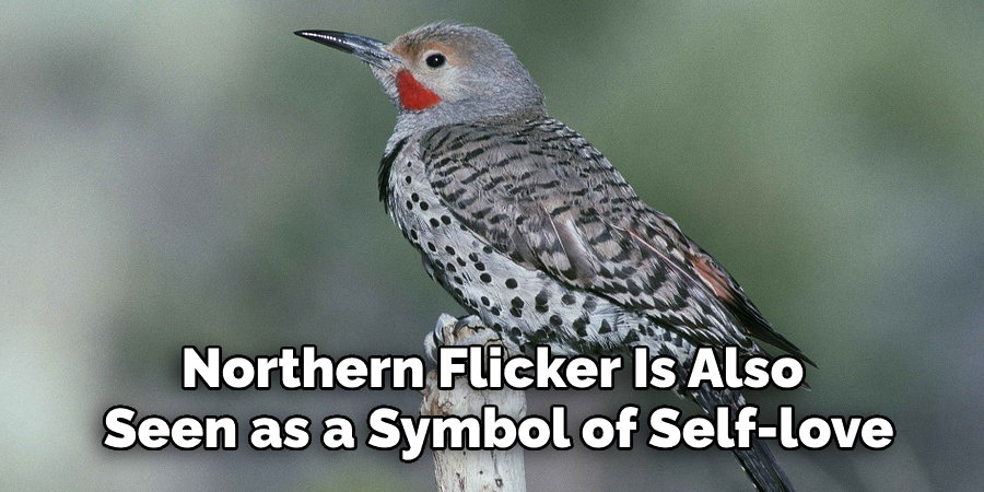 Northern Flicker Is Also  Seen as a Symbol of Self-love