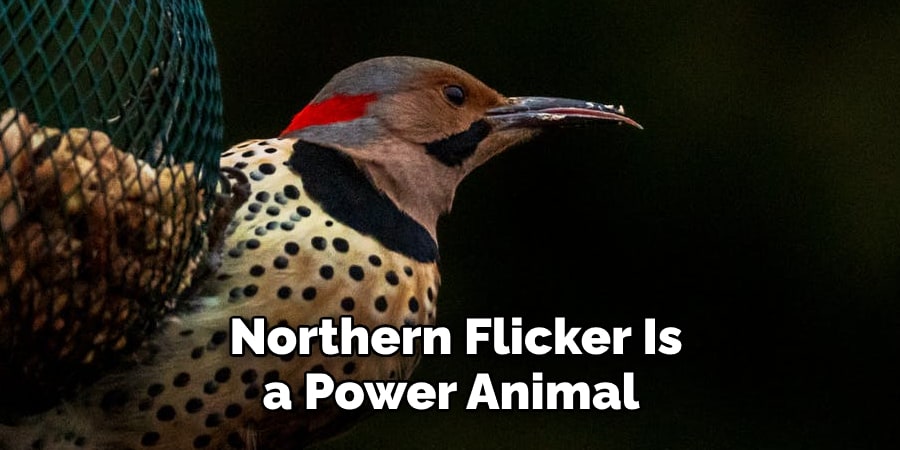 Northern Flicker Is a Power Animal 