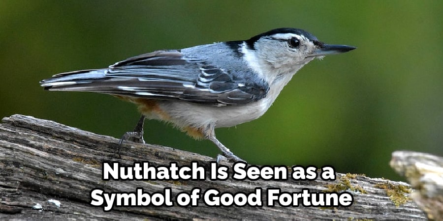 Nuthatch Is Seen as a  Symbol of Good Fortune