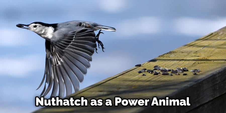 Nuthatch as a Power Animal