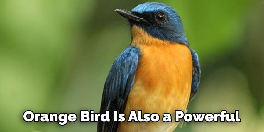 Orange Bird Is Also a Powerful
