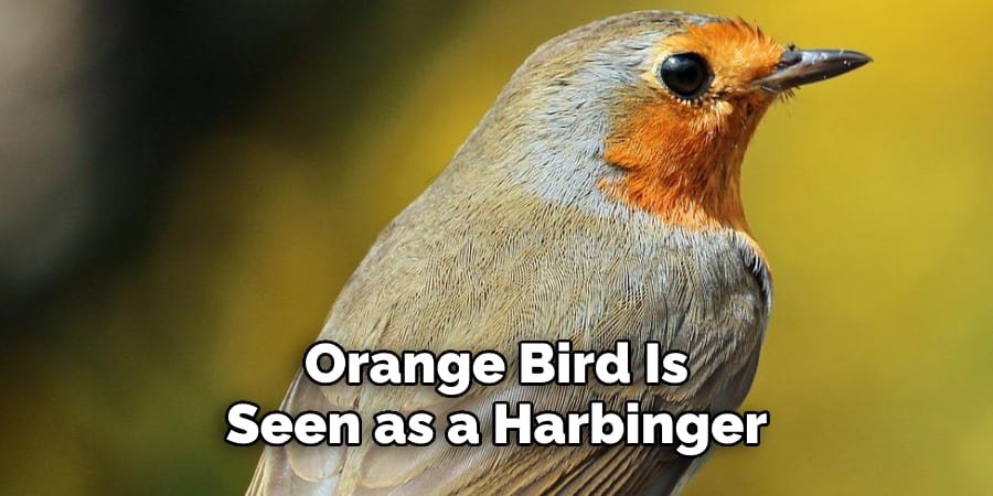 Orange Bird Is Seen as a Harbinger