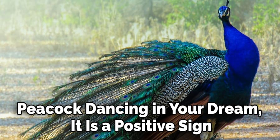 Peacock Dancing in Your Dream,  It Is a Positive Sign