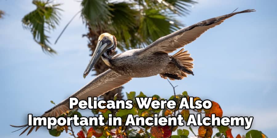 Pelicans Were Also Important in Ancient Alchemy.